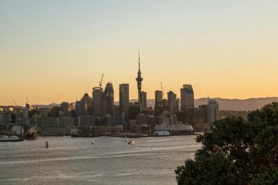 Piha Beach & Wilderness Nature : PRIVATE TOUR 8 hrs - Westhaven Marina: a quick look at Auckland’s yacht-filled world