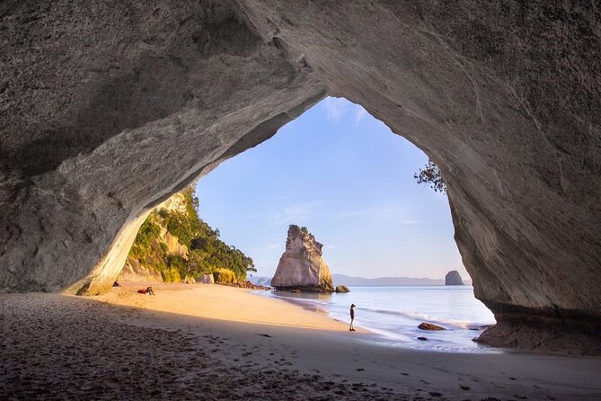 Piha Beach & Wilderness Nature : PRIVATE TOUR 8 hrs - Piha Beach: black sand, rugged coast, and rainforest edges
