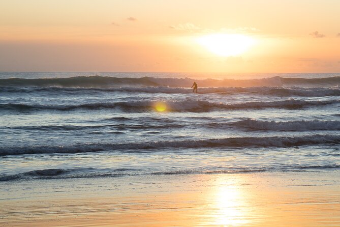 Piha Beach & Wilderness Nature : PRIVATE TOUR 8 hrs - Price and value: is $198.58 per person worth it?