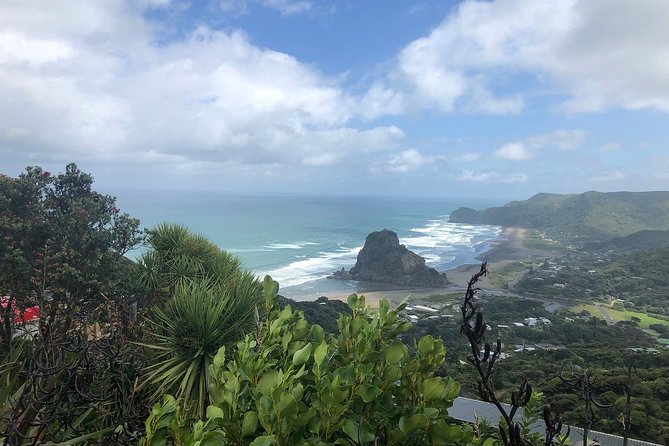 Piha Waitakere Rainforest Wine Tour from Auckland - The West Coast setup: pickup, timing, and why the minibus matters