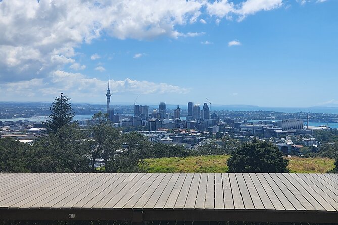 Private Auckland best Spots + Piha beach and rainforest day Tour - Arataki Visitor Centre and the Waitākere Ranges: The Rainforest Setup