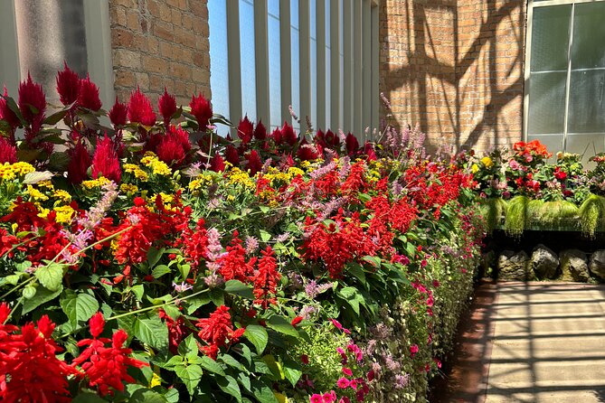 Private Auckland Best Top 5 Spots Half day Tour - A half-day private Auckland plan that doesn’t feel rushed (if you pace it)