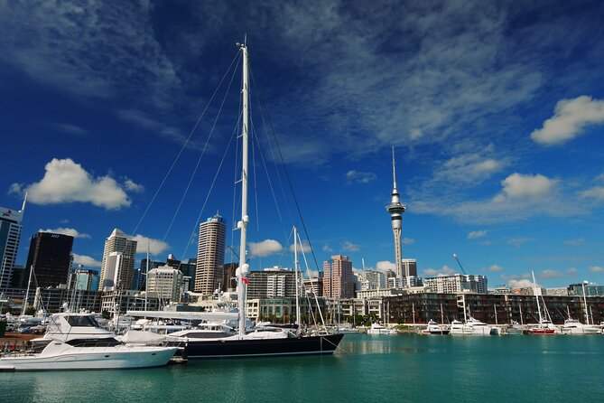 Private Auckland City Highlights Tour - Key Highlights You’ll Actually Feel