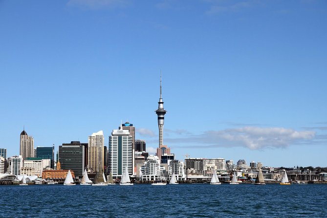 Private Auckland City Tour For Small Group in a luxury vehicle. - Key things I’d circle before you book