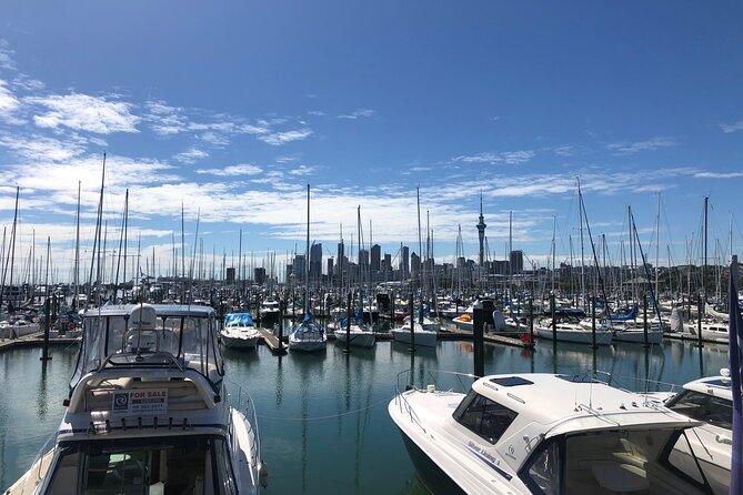 Private Auckland Half Day Tour - Key Highlights You’ll Actually Feel in Your Day