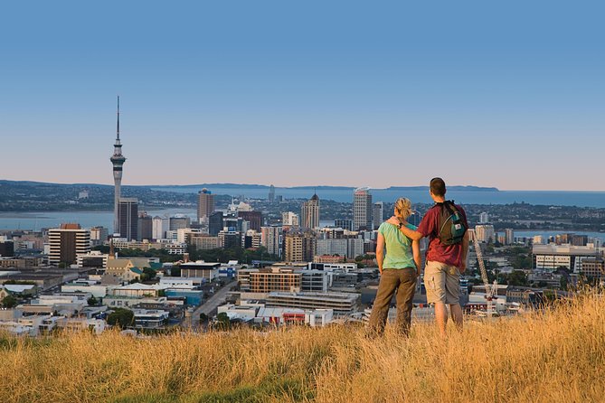 Private Auckland Luxury Tour - Titirangi and the Waitākere Gateway: Starting Where the City Bends Into Nature