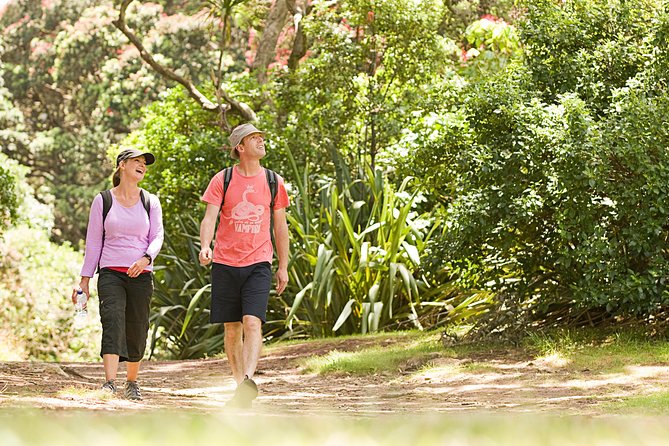 Private Auckland Luxury Tour - North Shore Icons: Tamaki Drive, Mission Bay, and Mount Eden