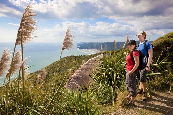 Private Auckland Luxury Tour - West Coast Wonders: Titirangi’s Follow-Through to Piha Beach