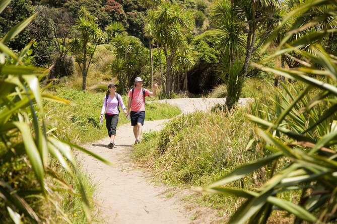 Private Auckland Luxury Tour - Karekare Falls: A Quick Walk to a Big Reward