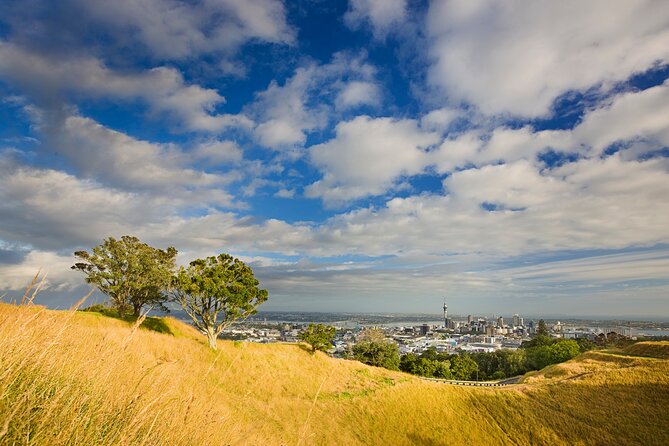 Private Auckland Luxury Tour - Arataki Visitor Centre: Turning the Day From Scenic to Understandable