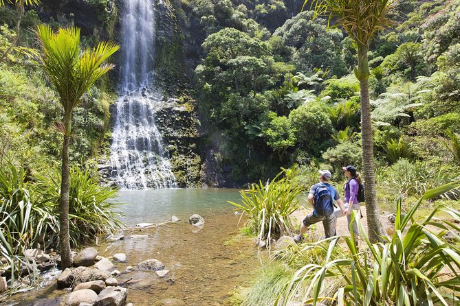 Private Auckland Luxury Tour - How the Private Mercedes Tour Works (and How to Set Your Pace)