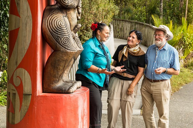 Private Auckland Maori Luxury Tour - Should You Book This Private Auckland Maori Luxury Tour?