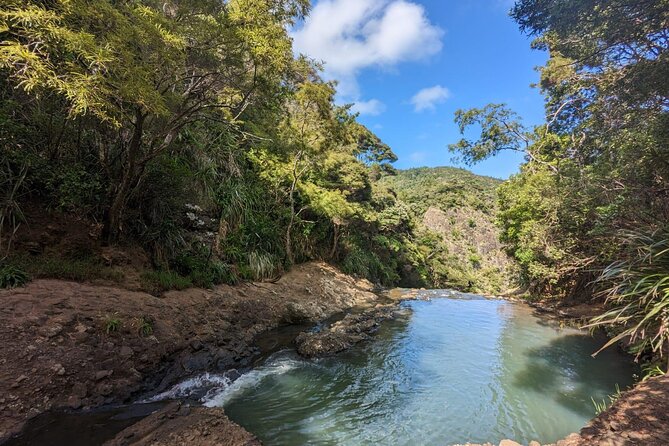 Private Auckland Sightseeing - Full Day/Half Day Hidden Gems Tour - Karekare Waterfall and Karekare Beach: Classic Rugged Coasts