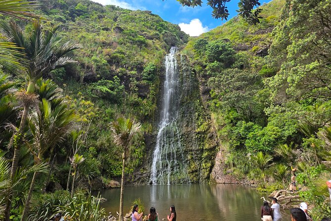 Private Auckland West Coast Tour Piha Beach and Karekare Falls - Key things to know before you go
