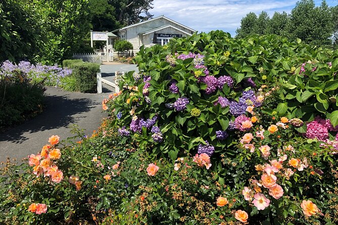 Private Auckland Wine & Dine Matakana Country & Cuisine - Wineries and Lunch with Views: How the Day Gets Its Rhythm