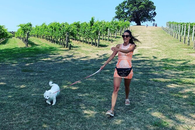 Private Dog Friendly Wine Tour with your Local Guide - Stop 1 in Oneroa: coffee, shops, and Oneroa Beach walks