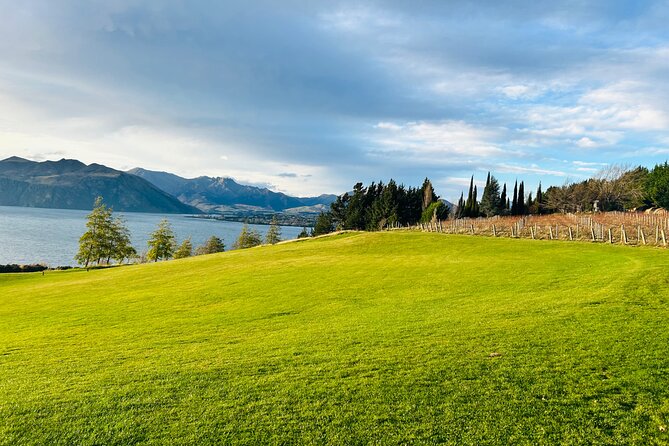 Private Driver Hire – Full-Day Touring-Auckland/Rotorua/Hamilton - Pricing for up to 4: when $549 feels like value