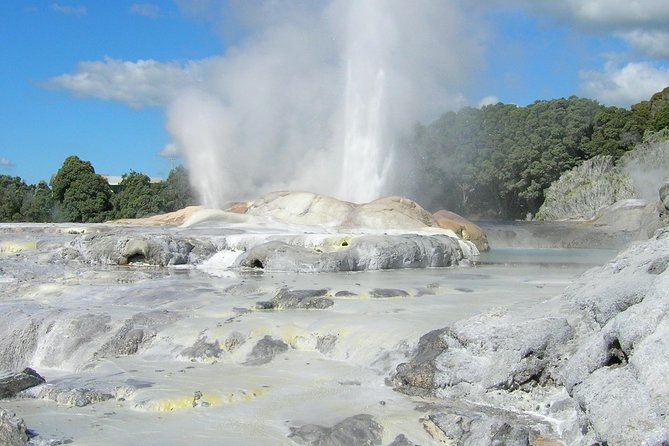 Private Full-Day Rotorua Tour from Auckland - Redwoods, Blue Lake track, and Lake Rotorua photo time