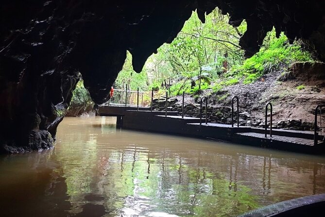 Private Hobbiton & Blue Springs Day Trip from Auckland - Waikato region timing and the drive-back rhythm