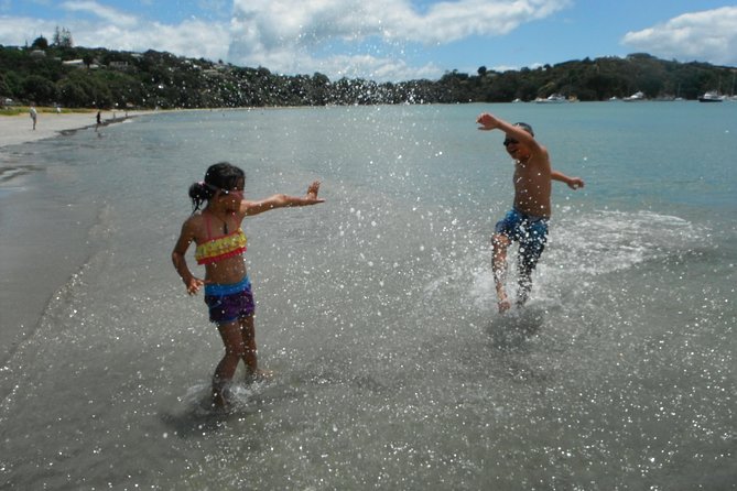 Private Maori Walking Tour with Wine Tasting and Lunch - Waiheke Island, on foot, with Māori storytelling built in