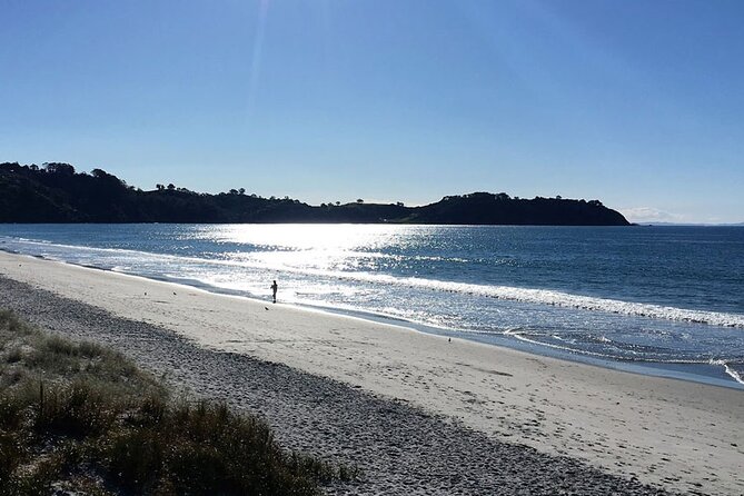 Private Personalised Tour in Waiheke Island - Choosing your pace: bush walk or coastal trail