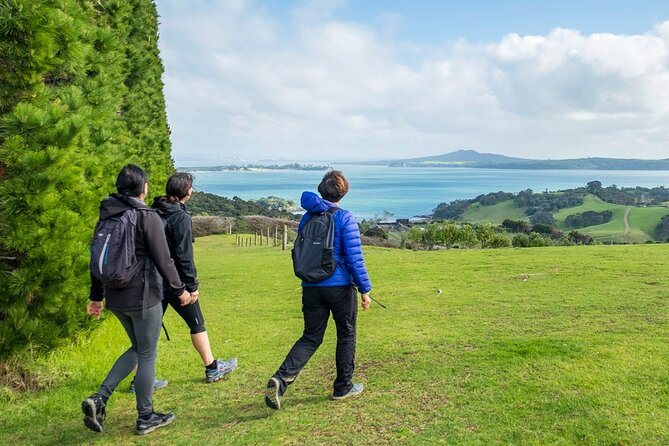 Private Personalised Tour in Waiheke Island - Wildlife spotting and photo breaks with Auckland in view