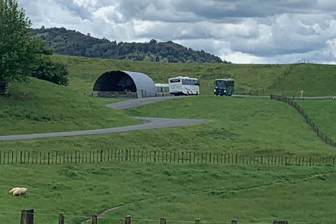Private The Hobbiton Tour - Auckland Tour House - The Hobbiton Movie Set: a guided 3-hour walk through the Shire