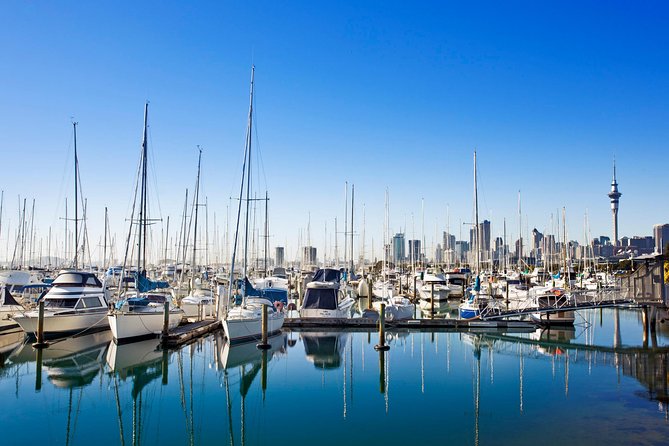 Private Tour: Auckland City and Countryside Tour - Mission Bay Beach and Auckland Domain: the softer side of the city