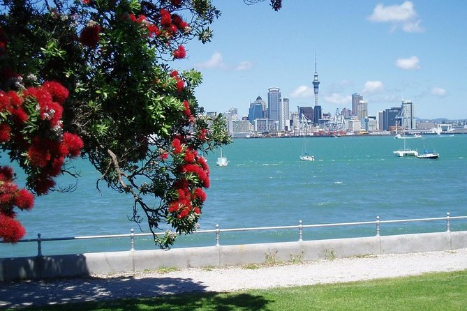 Private Tour: Auckland City and Countryside Tour - Guides matter: why one day can feel perfect and another just average