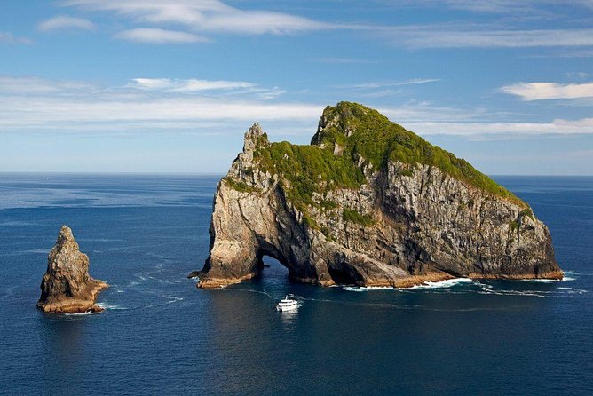 Private Tour: Bay of Islands Day Trip from Auckland - Key highlights worth knowing