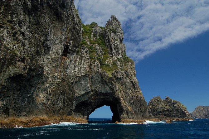 Private Tour: Bay of Islands Day Trip from Auckland - Price and logistics: where $578.99 can feel like a bargain or a stretch