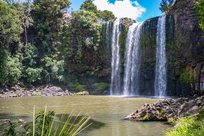 Private Tour: Bay of Islands Day Trip from Auckland - Whangarei Falls and Haruru Falls: two waterfall breaks without the full hike day