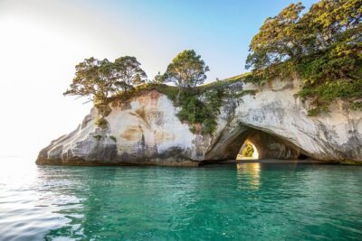 Private Tour - Coromandel Beach, Caves & Forest - Hot Water Beach: digging your own sand spa with tide timing