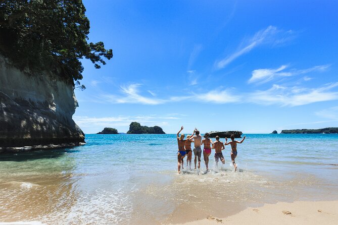 Private Tour - Coromandel Beach, Caves & Forest - Price and what you’re actually paying for ($589.54 per person)