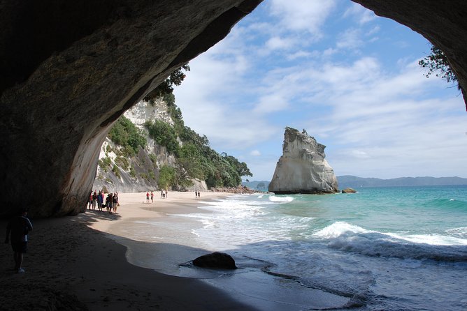 Private Tour - Coromandel Beach, Caves & Forest - Should you book this Coromandel Coast private tour?