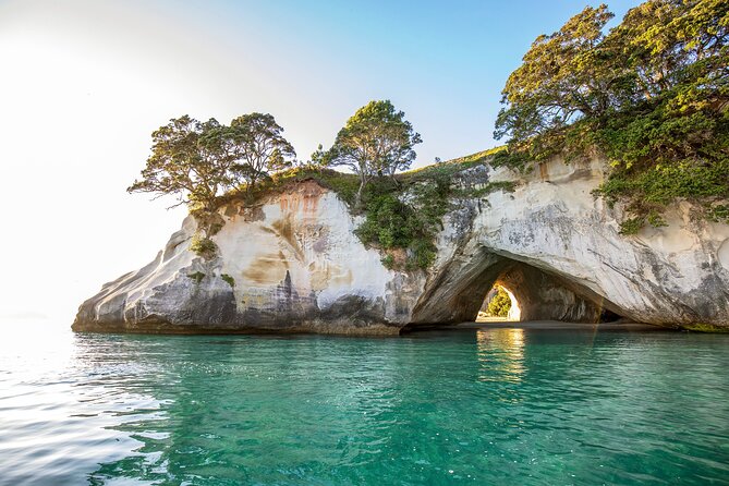 Private Tour - Coromandel Beach, Caves & Forest - Hot Water Beach: digging your own sand spa with tide timing