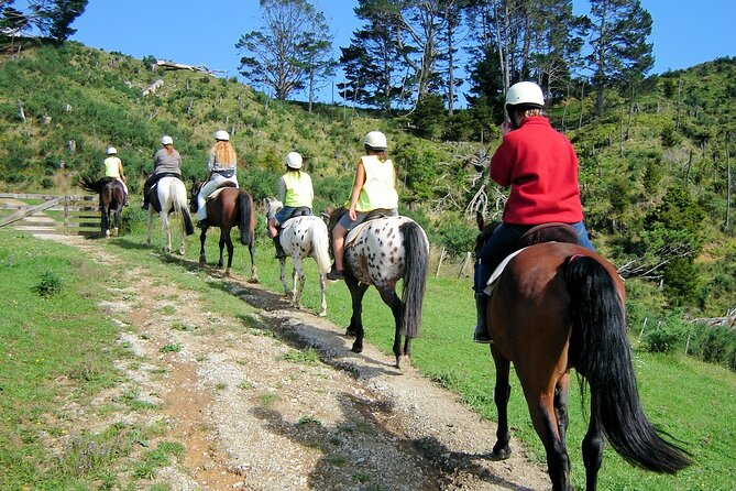 Private Tour - Horse Riding, Wine Tasting and Art Trail - Who should book this tour, and who might skip it