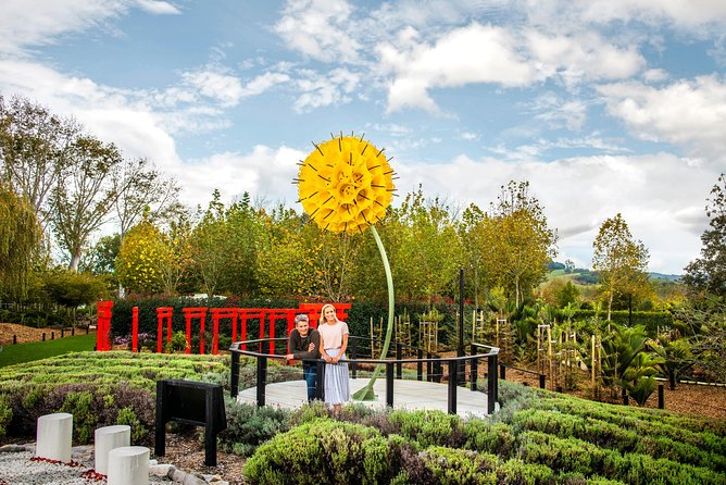 Private tour - Matakana Art & Wine Village - Key highlights worth planning for