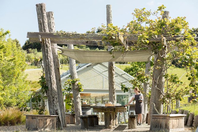 Private tour - Matakana Art & Wine Village - A private North Auckland day with pickup and air-conditioned comfort