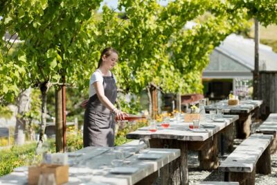 Private tour - Matakana Art & Wine Village - Sculptureum at Matakana: the Grant family art gardens plus indoor galleries