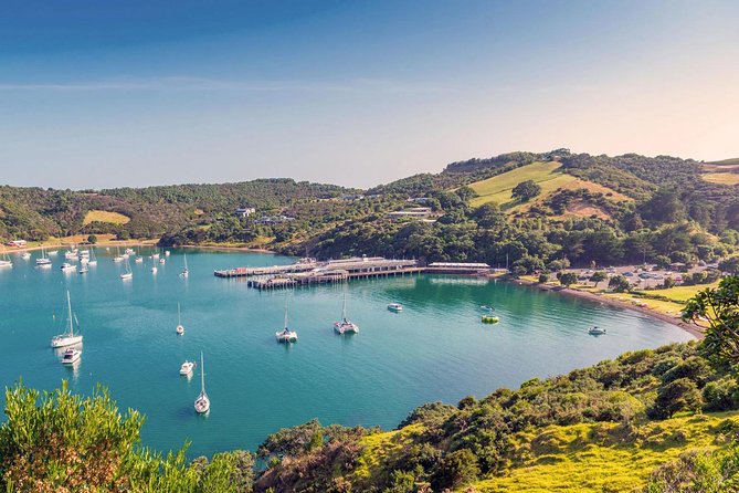 Private Tour - Waiheke Island Luxury Experience - Key highlights to look for