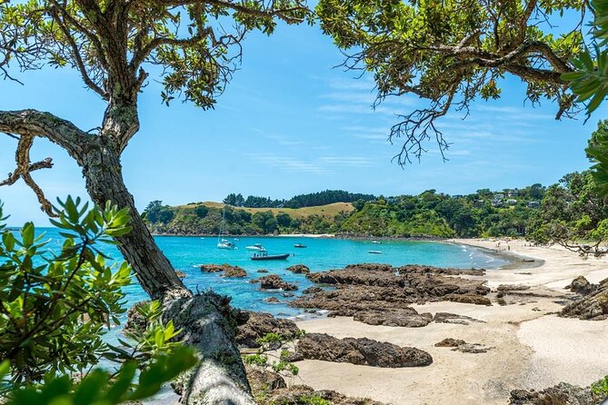 Private Tour - Waiheke Island Luxury Experience - Wine tastings that feel guided, not salesy