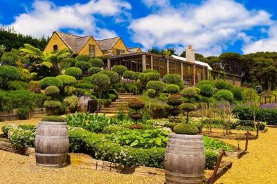 Private Tour - Waiheke Island Luxury Experience - Price and value: what $617.47 per person really buys