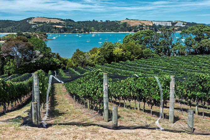 Private Tour - Waiheke Island Luxury Experience - Picnic lunch on the beach: the food part is the point