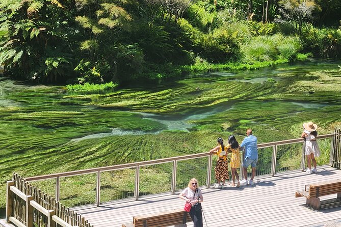 Private Tour WaiOtapu & Huka Falls & Blue springs from Auckland - Key highlights that make this tour worth your time