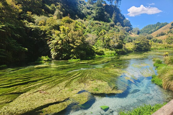 Private Tour WaiOtapu & Huka Falls & Blue springs from Auckland - A Private Day-Trip Power Plan from Auckland