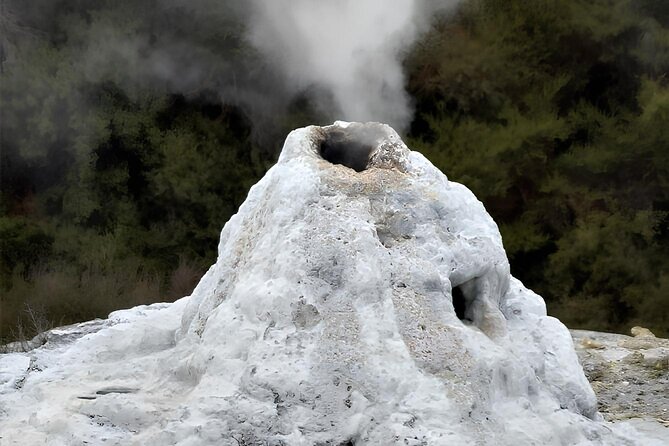 Private Tour WaiOtapu & Huka Falls & Blue springs from Auckland - Lady Knox Geyser: A Short Included Stop That Keeps Momentum