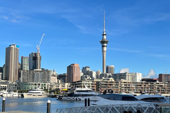 Private Transfer From Auckland Airport To Rotorua - Family-Friendly Driving: Tips and Timing That Actually Help