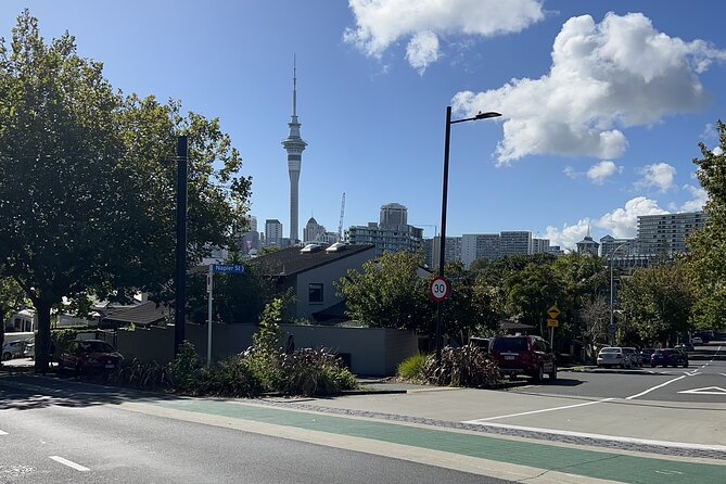 Private Transfer From Auckland City To Auckland Airport - Who should book this transfer?