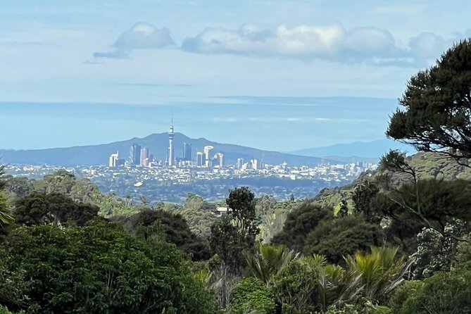 Private Transfer From Auckland International Airport To Auckland City - Who this transfer suits best